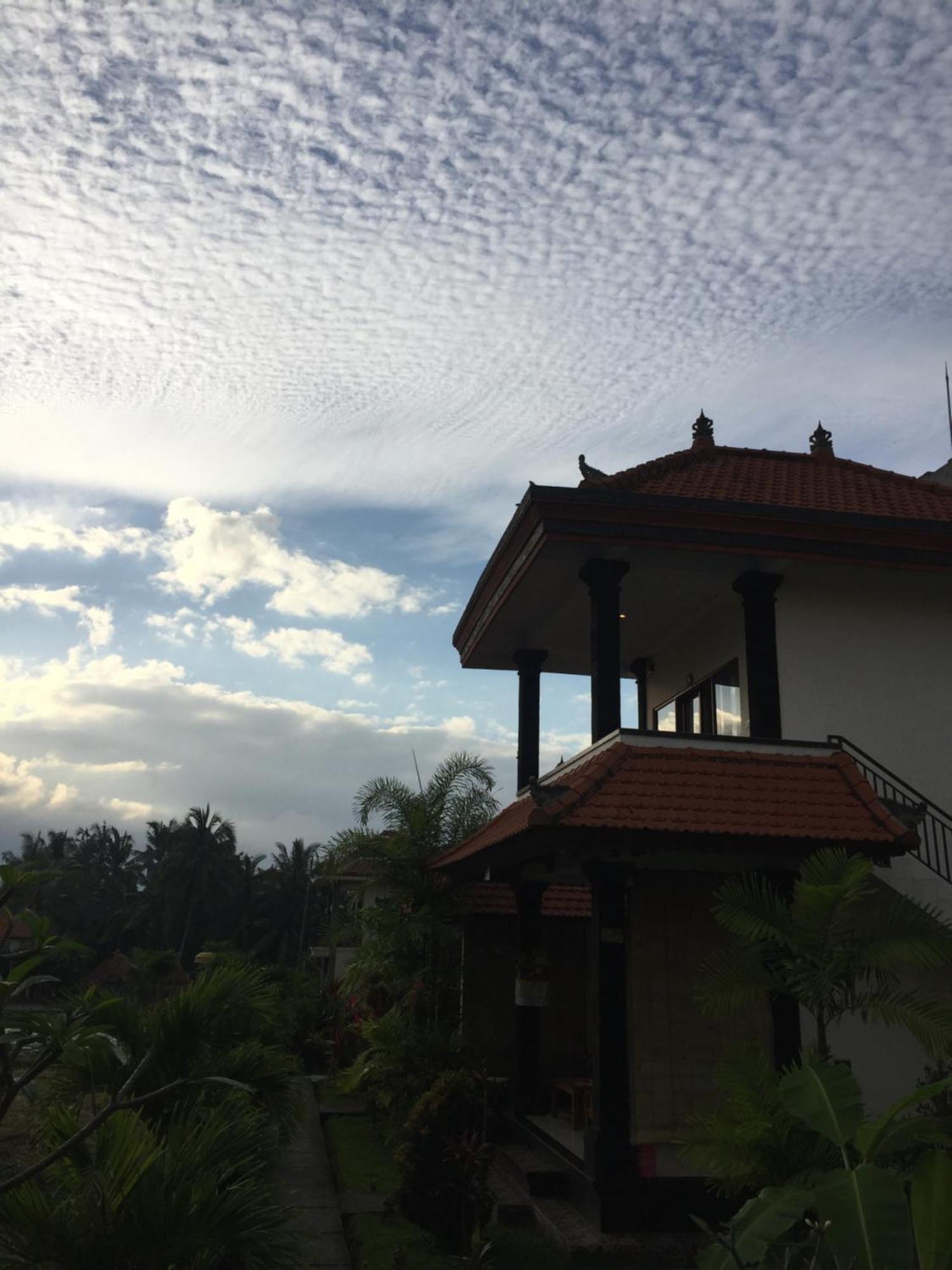 Sari Bungalow อูบุด ภายนอก รูปภาพ