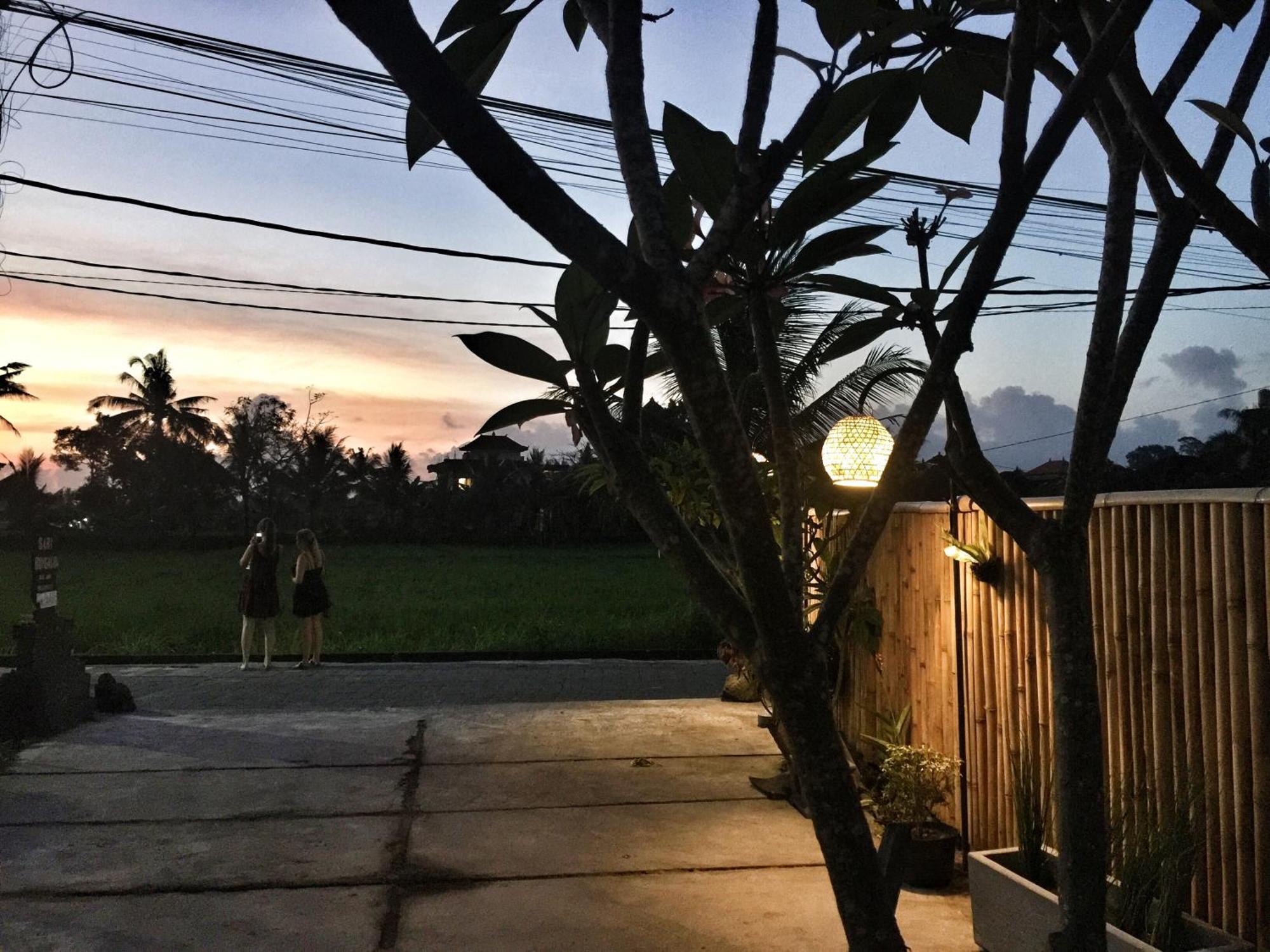 Sari Bungalow อูบุด ภายนอก รูปภาพ